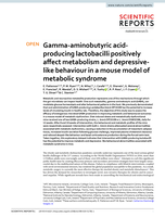 Gamma-aminobutyric acid-producing lactobacilli positively affect metabolism and depressive-like behaviour in a mouse model of metabolic syndrome