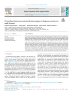 Picture-based and conversational decision support to diagnose post-harvest apple diseases