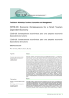 COVID-19: Economic Consequences for a Small Tourism Dependent Economy