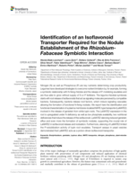 Identification of an Isoflavonoid Transporter Required for the Nodule Establishment of the Rhizobium-Fabaceae Symbiotic Interaction