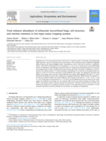 Trees enhance abundance of arbuscular mycorrhizal fungi, soil structure, and nutrient retention in low-input maize cropping systems
