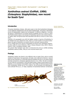 Xantholinus audrasi (Coiffait, 1956) (Coleoptera: Staphylinidae), new record for South Tyrol
