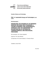 Enhancing the feasibility of biomass-derived methane and hydrogen: a techno-economic and experimental approach for the assessment of opportunities in integrated thermochemical and biological processes