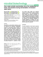 How water-soluble saccharides drive the metabolism of lactic acid bacteria during fermentation of brewers’ spent grain