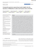Comparative genome sequencing reveals insights into the dynamics of Wolbachia in native and invasive cherry fruit flies