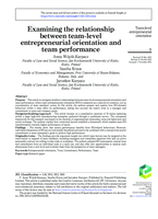Examining the relationship between team-level entrepreneurial orientation and team performance