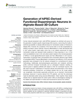 Generation of hiPSC-derived functional dopaminergic neurons in alginate-based 3D culture