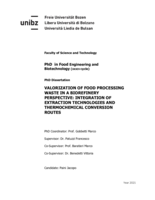 Valorization of food processing waste in a biorefinery perspective: integration of extraction technologies and thermochemical conversion routes