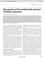 The genome of the model beetle and pest Tribolium castaneum