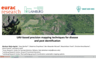 UAV-based precision mapping techniques for disease and pest identification