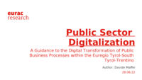 Public Sector Digitalization: A Guidance to the Digital Transformation of Public Business Processes within the Euregio Tyrol-South Tyrol-Trentino