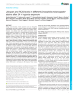 Lifespan and ROS levels in different Drosophila melanogaster strains after 24 h hypoxia exposure