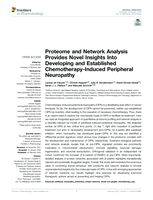 Proteome and Network Analysis Provides Novel Insights Into Developing and Established Chemotherapy-Induced Peripheral Neuropathy