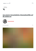 Aus unserer Versuchsküche: Riesengänsefüße auf die simple Art