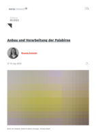 Anbau und Verarbeitung der Palabirne = Coltivazione e lavorazione della pera Pala: sapere, valori e pratiche