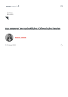 Aus unserer Versuchsküche: Chinesische Keulen
