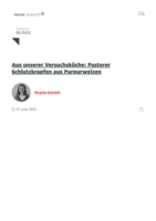Aus unserer Versuchsküche: Pusterer Schlutzkrapfen aus Purpurweizen