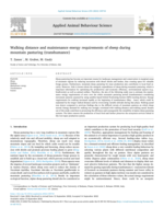 Walking distance and maintenance energy requirements of sheep during mountain pasturing (transhumance)