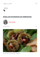 Anbau und Verarbeitung der Edelkastanie = Coltivazione e lavorazione delle castagne