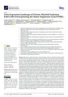 Gene Expression Landscape of Chronic Myeloid Leukemia K562 Cells Overexpressing the Tumor Suppressor Gene PTPRG