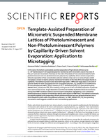 Template-Assisted Preparation of Micrometric Suspended Membrane Lattices of Photoluminescent and Non-Photoluminescent Polymers by Capillarity-Driven Solvent Evaporation: Application to Microtagging