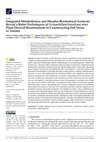 Integrated Metabolomics and Morpho-Biochemical Analyses Reveal a Better Performance of Azospirillum brasilense over Plant-Derived Biostimulants in Counteracting Salt Stress in Tomato