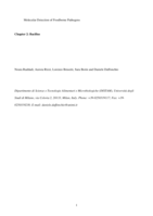 Bacillus