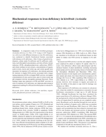 Biochemical responses to iron deficiency in kiwifruit (Actinidia deliciosa)