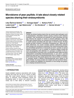Microbiome of pear psyllids: A tale about closely‐related species sharing their endosymbionts