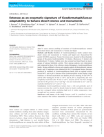 Esterase as an enzymatic signature of Geodermatophilaceae adaptability to Sahara desert stones and monuments
