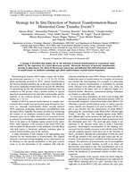 Strategy for in situ detection of natural transformation-based horizontal gene transfer events