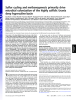 Sulfur cycling and methanogenesis primarily drive microbial colonization of the highly sulfidic Urania deep hypersaline basin