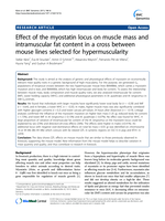 Effect of the myostatin locus on muscle mass and intramuscular fat content in a cross between mouse lines selected for hypermuscularity