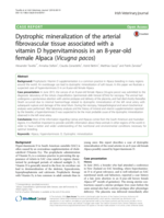 Dystrophic mineralization of the arterial fibrovascular tissue associated with a vitamin D hypervitaminosis in an 8-year-old female Alpaca (Vicugna pacos)