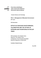Effects of biochar on mycorrhizal colonization and the uptake of nitrogen and phosphorus in poplar trees
