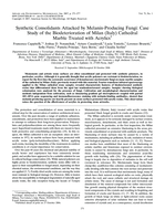 Synthetic consolidants attacked by melanin-producing fungi: case study of the biodeterioration of Milan (Italy) cathedral marble treated with acrylics