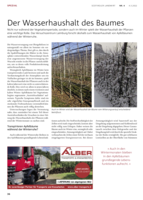 Der Wasserhaushalt des Baumes