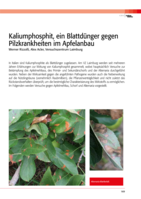 Kalimpfosphit, ein Blattdünger gegen Pilzkrankheiten im Apfelanbau