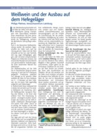Weißwein und der Ausbau auf dem Hefeläger