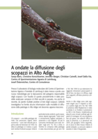 A ondate la diffusione degli scopazzi in Alto Adige