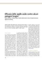 Efficacia delle argille acide contro alcuni patogeni fungini