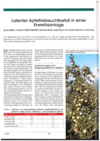 Latenter Apfeltriebsuchtbefall in einer Erwerbsanlage