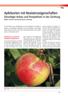 Apfelsorten mit Resistenzeigenschaften - Derzeitiger Anbau und Perspektiven in der Züchtung