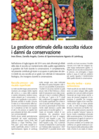 La gestione ottimale della raccolta riduce i danni da conservazione