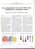 Una comparazione fra cloni di Pinot nero, Chardonnay e Sauvignon bianco