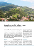 Rotweinsorten für höhere Lagen