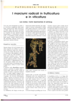 I marciumi radicali in frutticoltura e in viticoltura