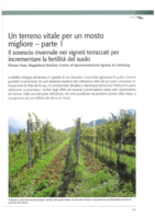 Un terreno vitale per un mosto migliore - parte 1. Il sovescio invernale nei vigneti terrazzati per incrementare la fertilità del suolo
