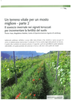 Un terreno vitale per un mosto migliore - parte 2. Il sovescio invernale in vigneti terrazzati per incrementare la fertilità del suolo