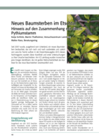 Neues Baumsterben im Etschtal - Hinweis auf den Zusammenhang mit einem Pythiumstamm